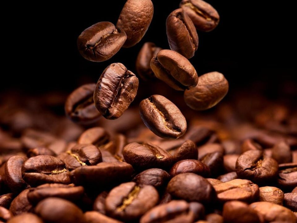 Learn the types of coffee beans in Malaysia to explore your palate
