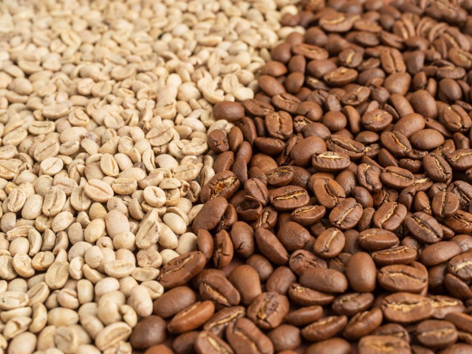 Find distinctions between white coffee vs black coffee for your preferred brew